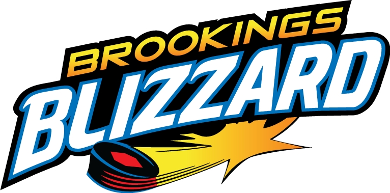 brookings blizzard 2012-pres wordmark logo iron on transfers for clothing